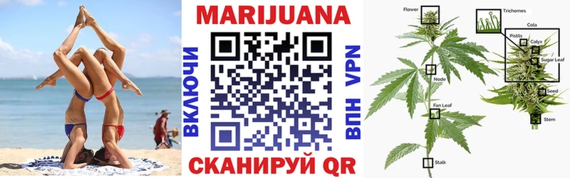 Бошки Шишки планчик  Купить закладки  Елизово 